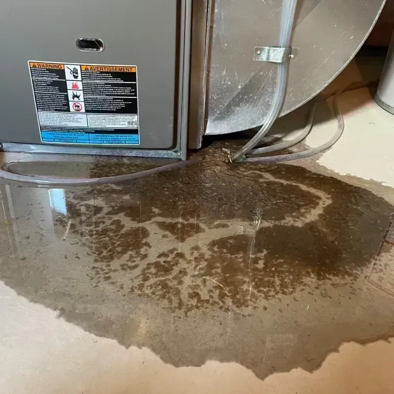 Appliance Leak Cleanup in Lockhart, TX